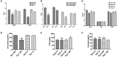 Waterfall Forest Environment Regulates Chronic Stress via the NOX4/ROS/NF-κB Signaling Pathway